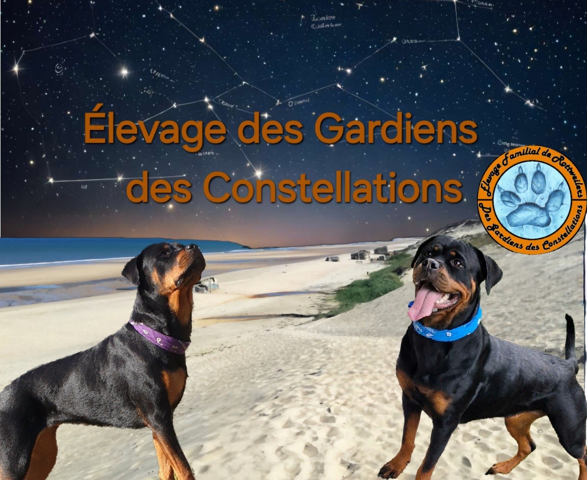 Des Gardiens Des Constellations