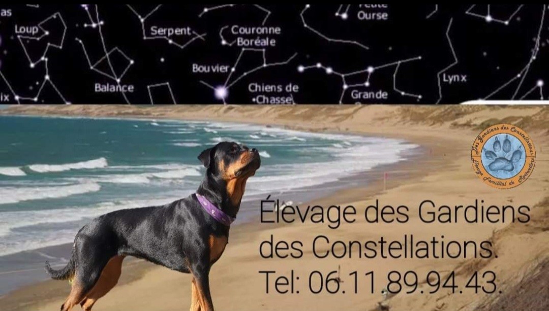 Des Gardiens Des Constellations